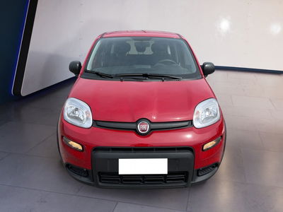 Fiat Panda 1.0 firefly hybrid s&amp;s 70cv 5p.ti del 2024 usata a Torino