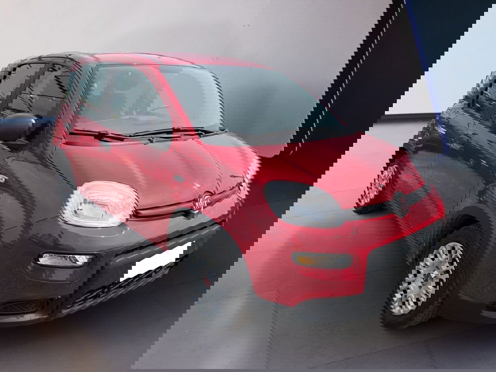 Fiat Panda usata a Torino (3)