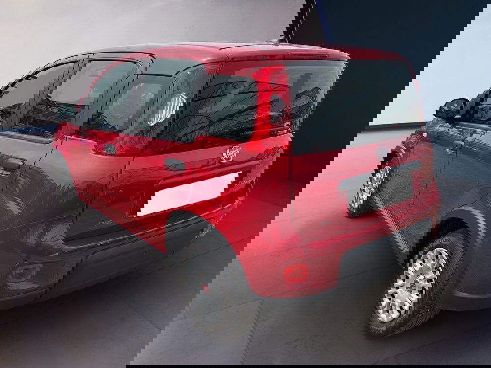 Fiat Panda usata a Torino (5)