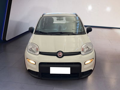 Fiat Panda 1.0 firefly hybrid s&amp;s 70cv 5p.ti del 2022 usata a Torino