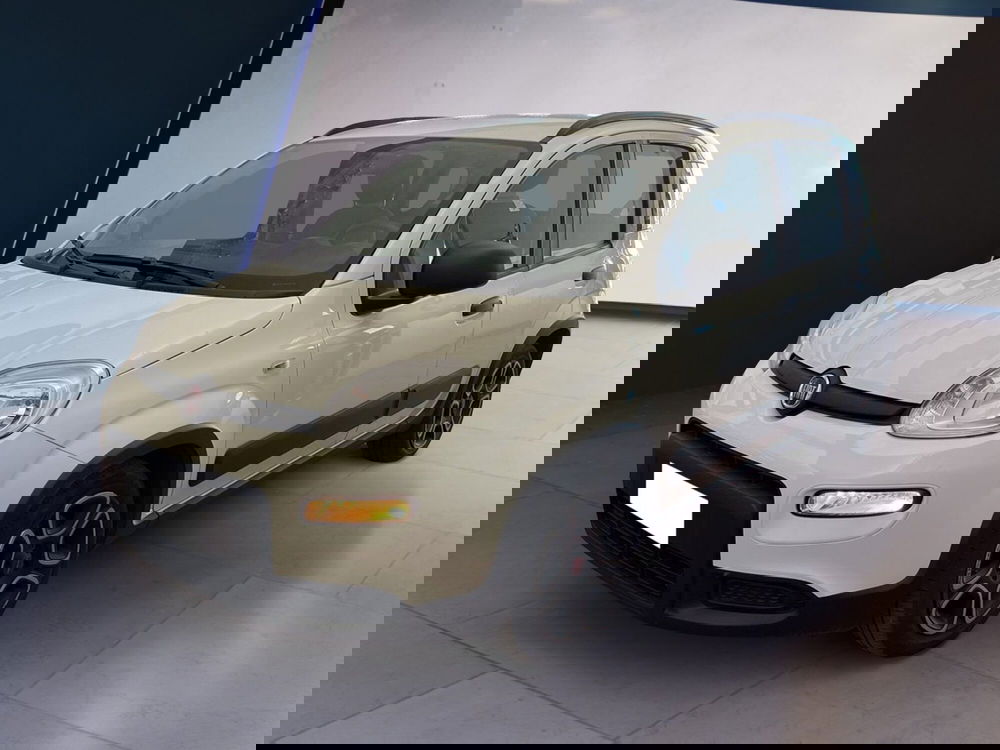 Fiat Panda usata a Torino (2)