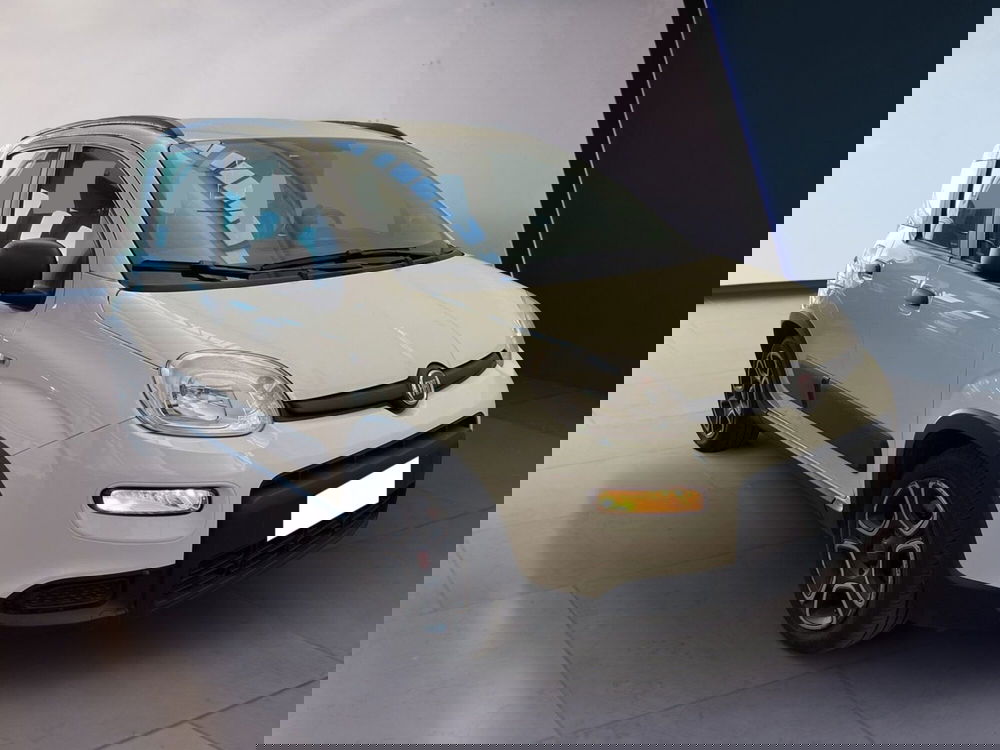 Fiat Panda usata a Torino (3)