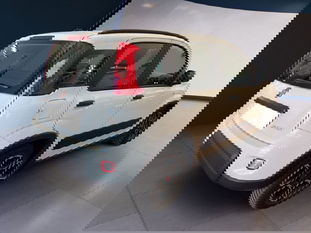 Fiat Panda usata a Torino (4)