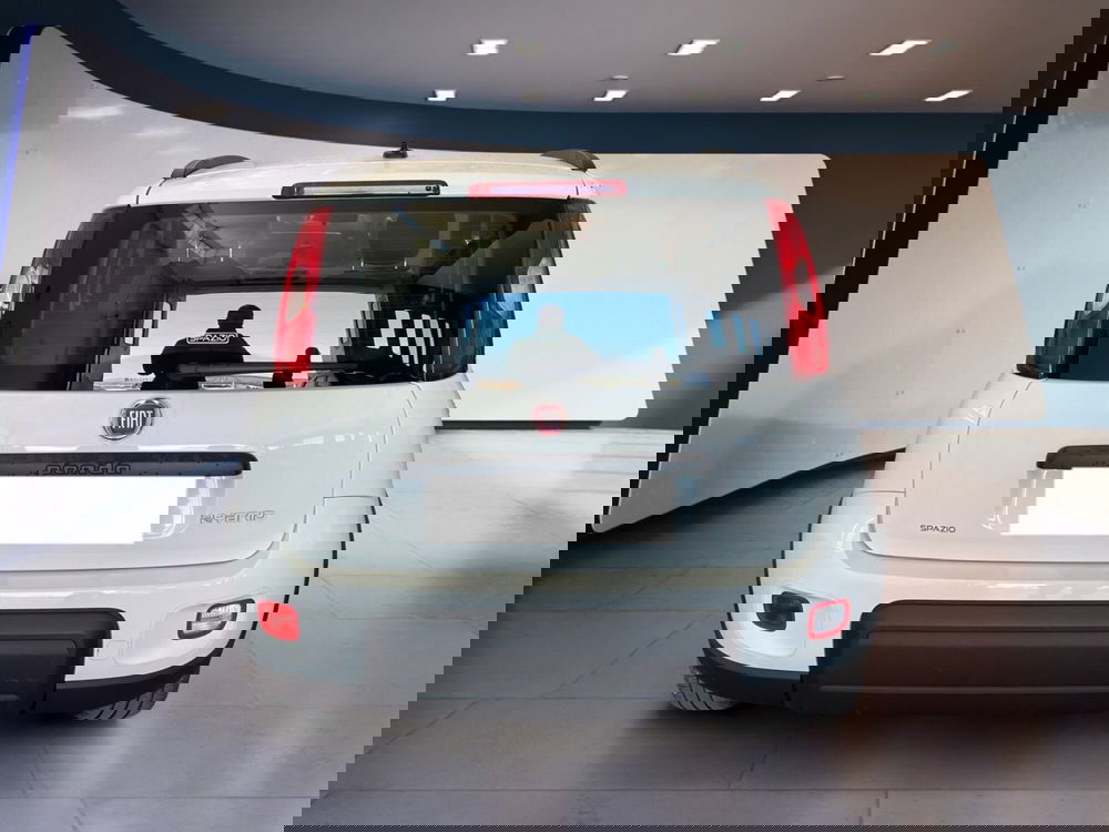 Fiat Panda usata a Torino (5)