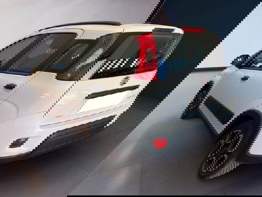 Fiat Panda usata a Torino (6)