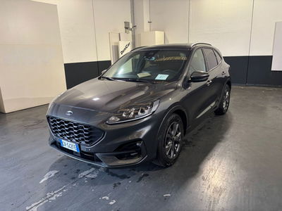 Ford Kuga 2.0 EcoBlue 120 CV aut. AWD ST-Line del 2024 usata a Milano