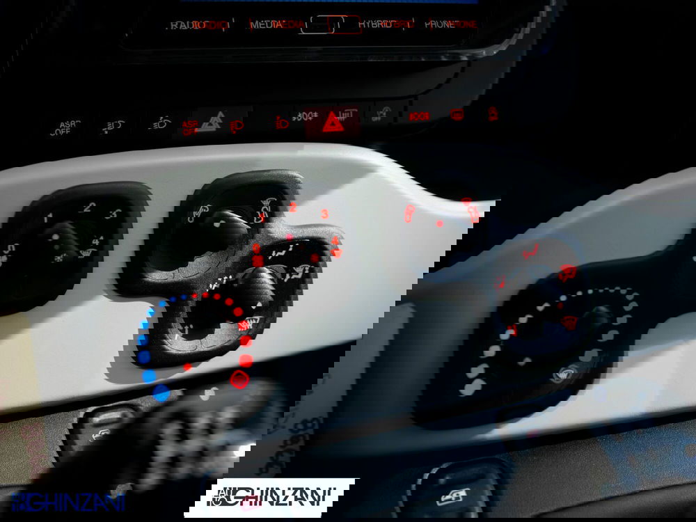 Fiat Panda Cross usata a Bergamo (17)