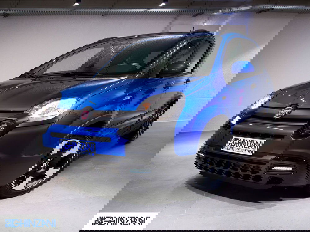 Fiat Panda Cross usata a Bergamo (2)