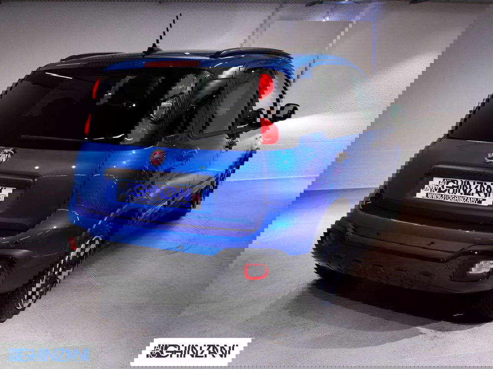 Fiat Panda Cross usata a Bergamo (9)