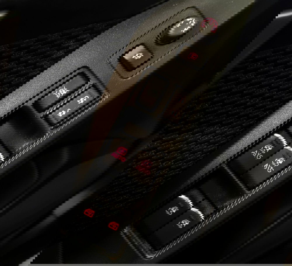 Subaru Forester usata a Pavia (20)