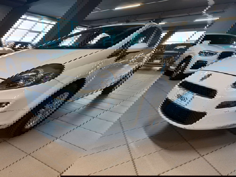 Fiat Punto usata a Messina