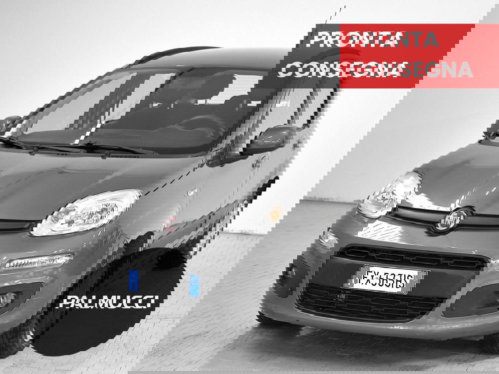 Fiat Panda usata a Prato