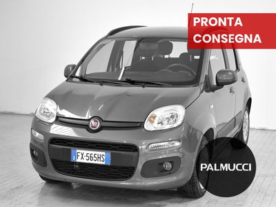 Fiat Panda 1.2 Easy del 2019 usata a Prato