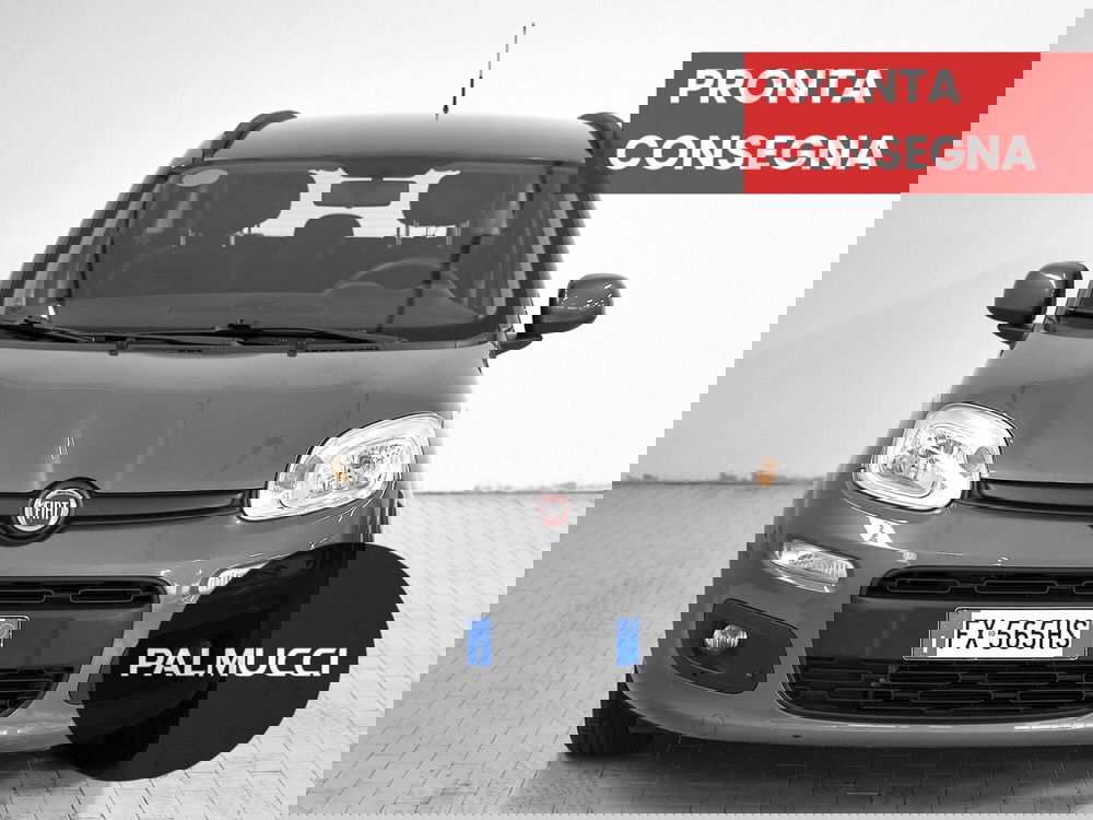 Fiat Panda usata a Prato (2)