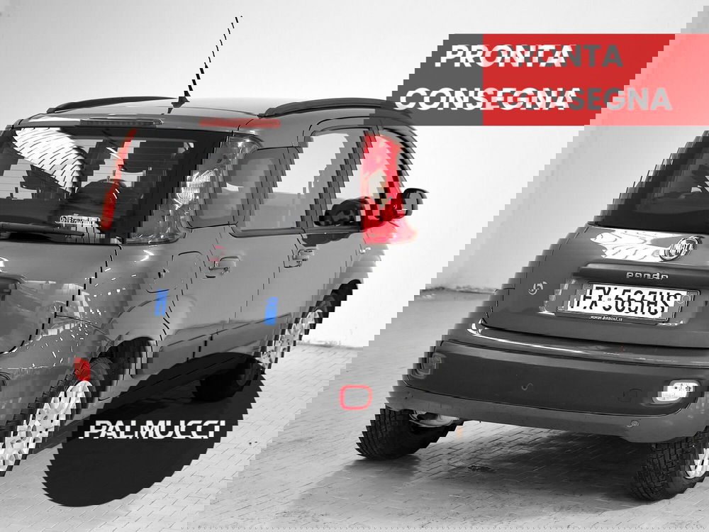 Fiat Panda usata a Prato (3)