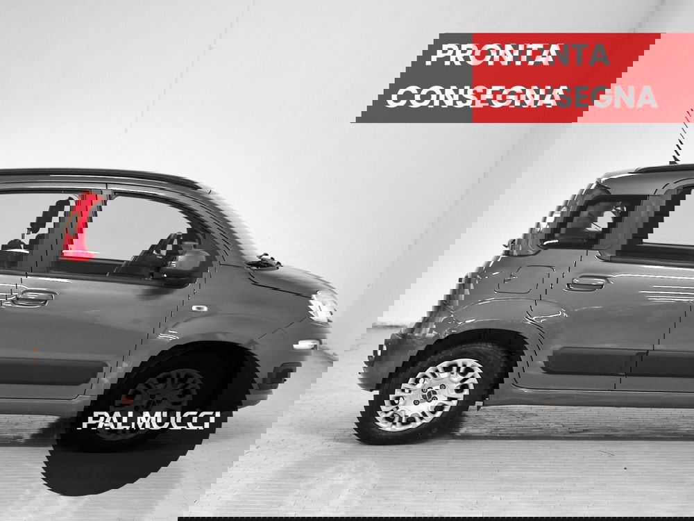 Fiat Panda usata a Prato (4)