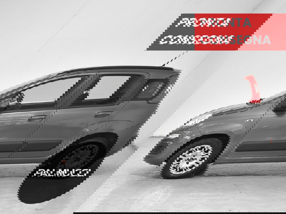 Fiat Panda usata a Prato (5)