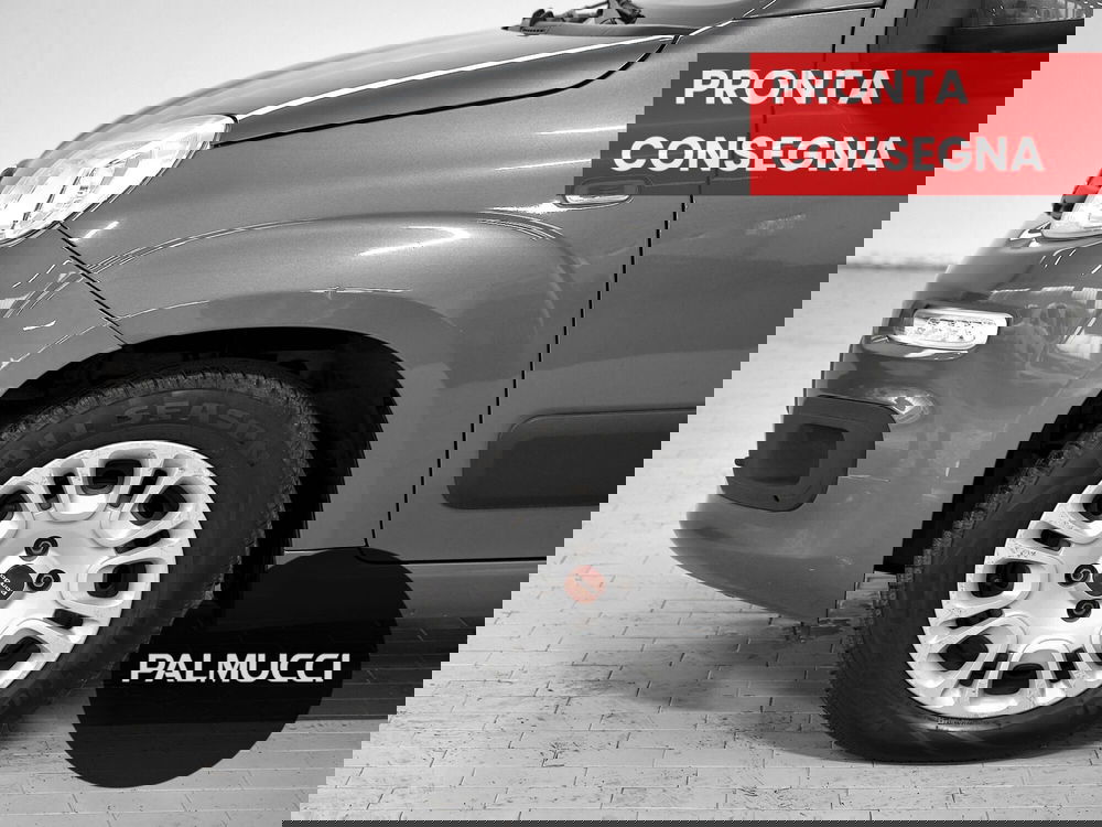 Fiat Panda usata a Prato (6)