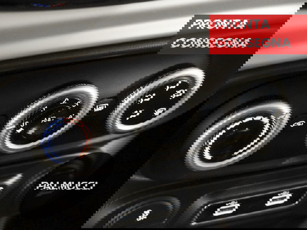 Fiat 500L usata a Prato (13)