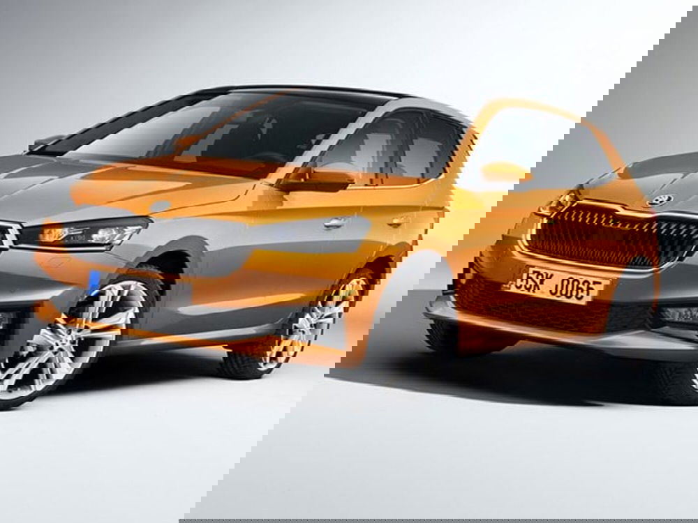 Skoda Fabia usata a Palermo (2)