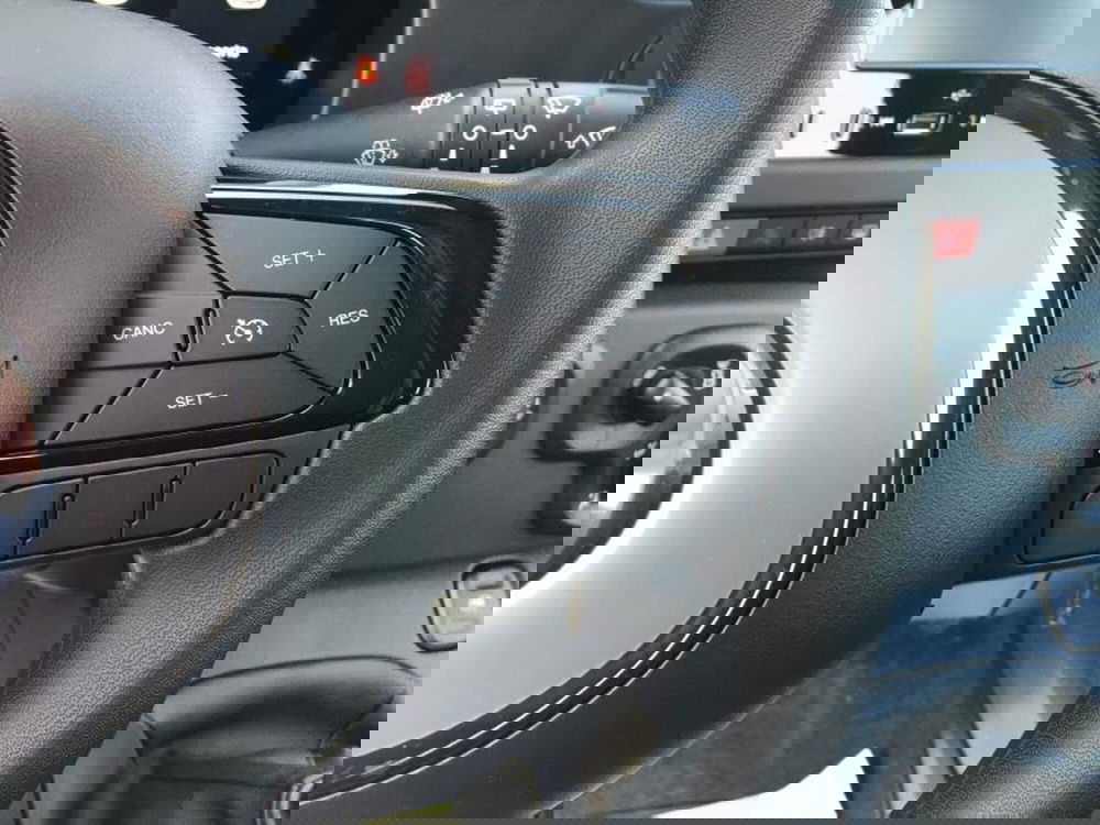 Fiat Panda Cross nuova a Cuneo (12)