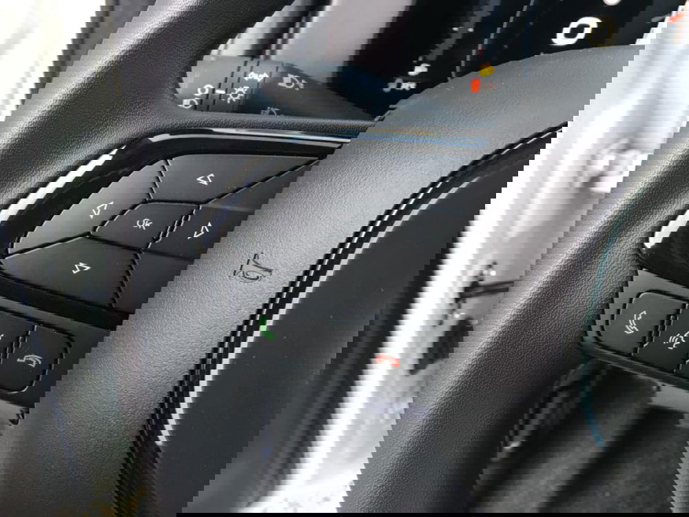 Fiat Panda Cross nuova a Cuneo (13)