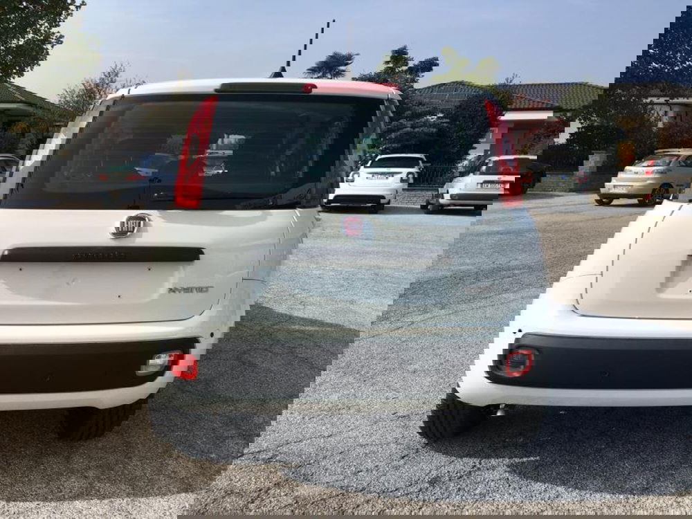 Fiat Panda Cross nuova a Cuneo (5)