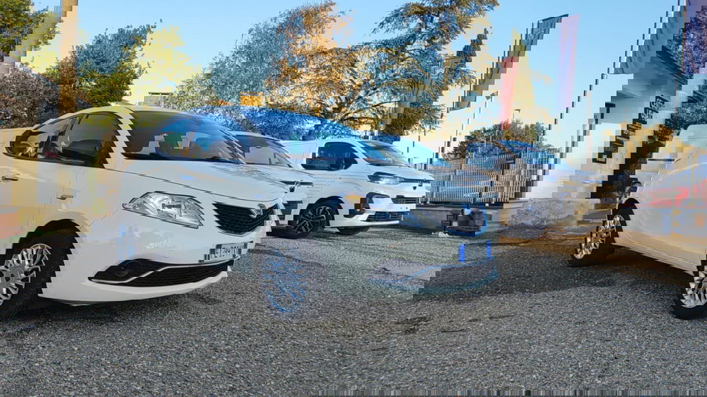 Lancia Ypsilon usata a Firenze (13)