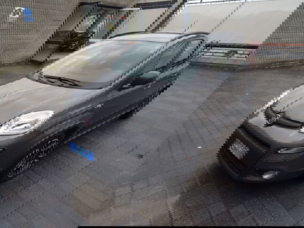 Fiat Panda usata a Lucca