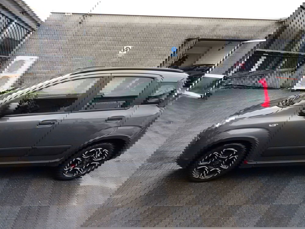 Fiat Panda usata a Lucca (2)