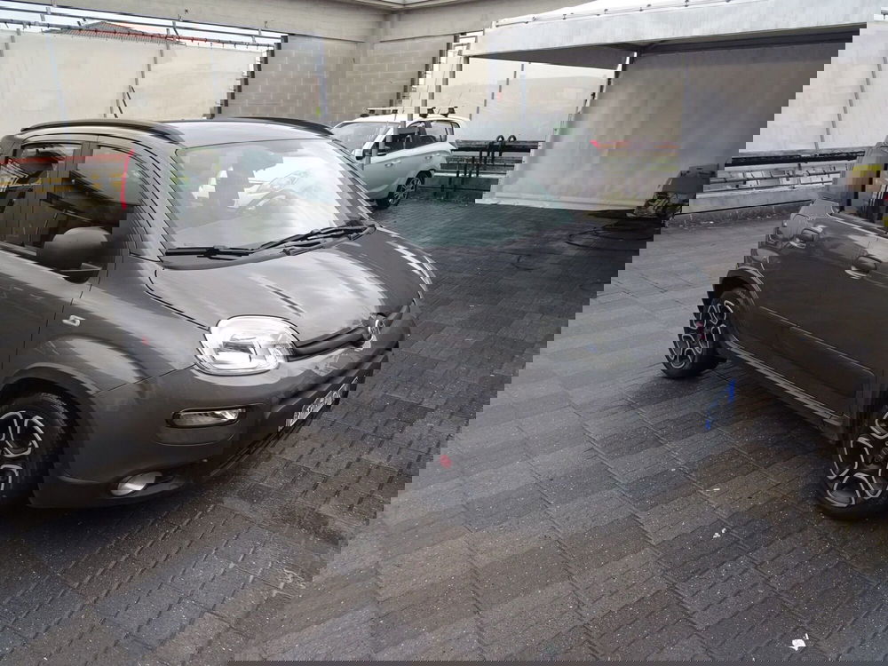 Fiat Panda usata a Lucca (6)