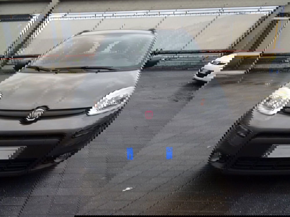 Fiat Panda usata a Lucca (7)