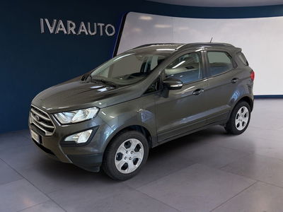 Ford EcoSport 1.0 EcoBoost 100 CV Business del 2018 usata a Arezzo