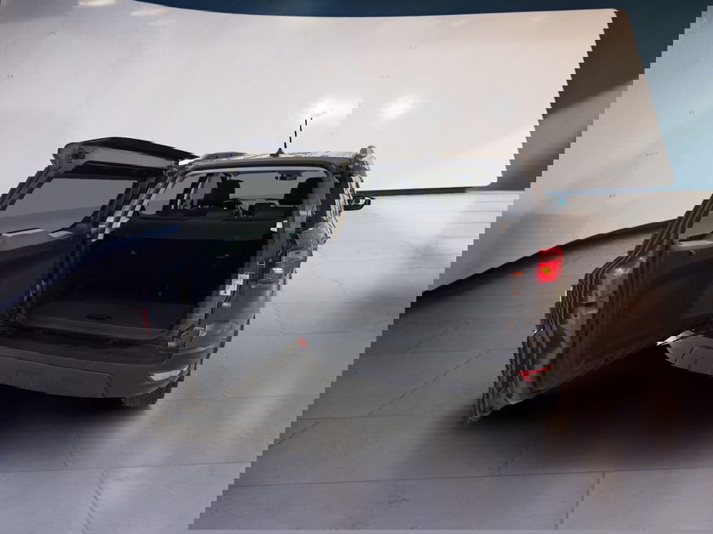 Ford EcoSport usata a Arezzo (11)