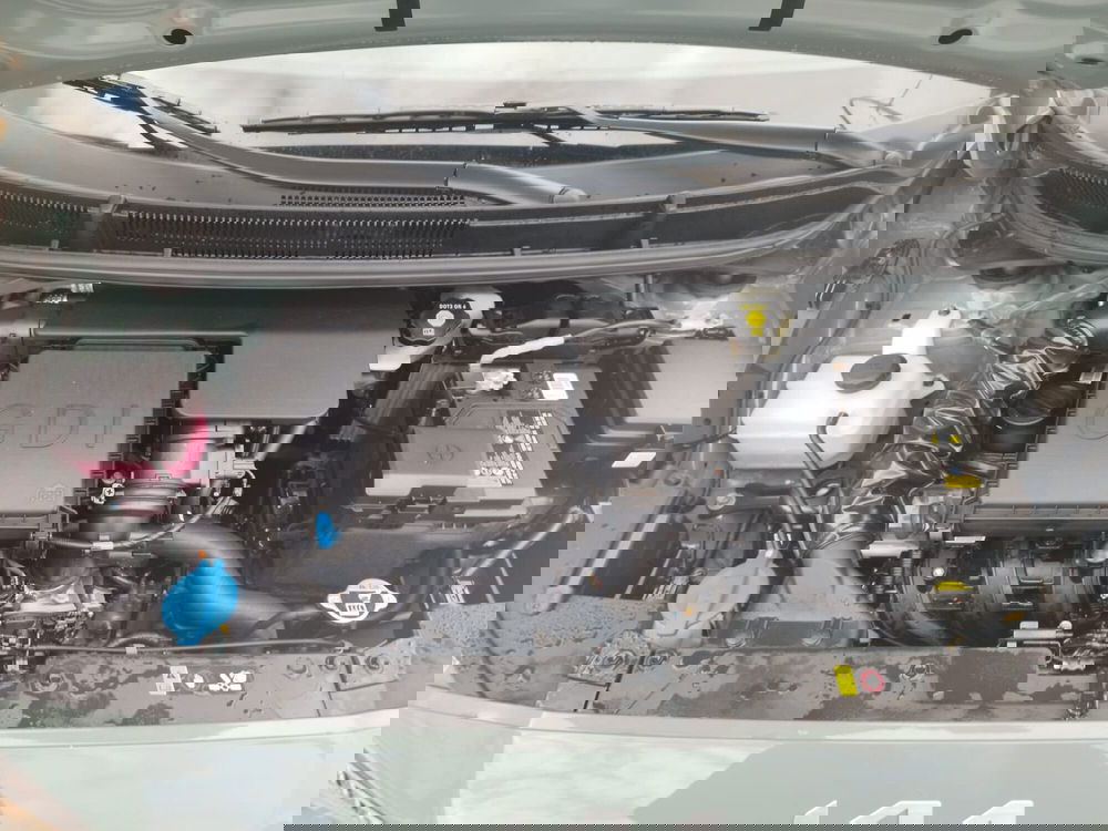 Kia Picanto nuova a Arezzo (15)