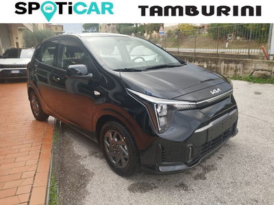 Kia Picanto 1.0 gdi Urban nuova a Cortona