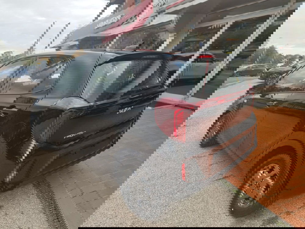 Kia Picanto nuova a Arezzo (6)