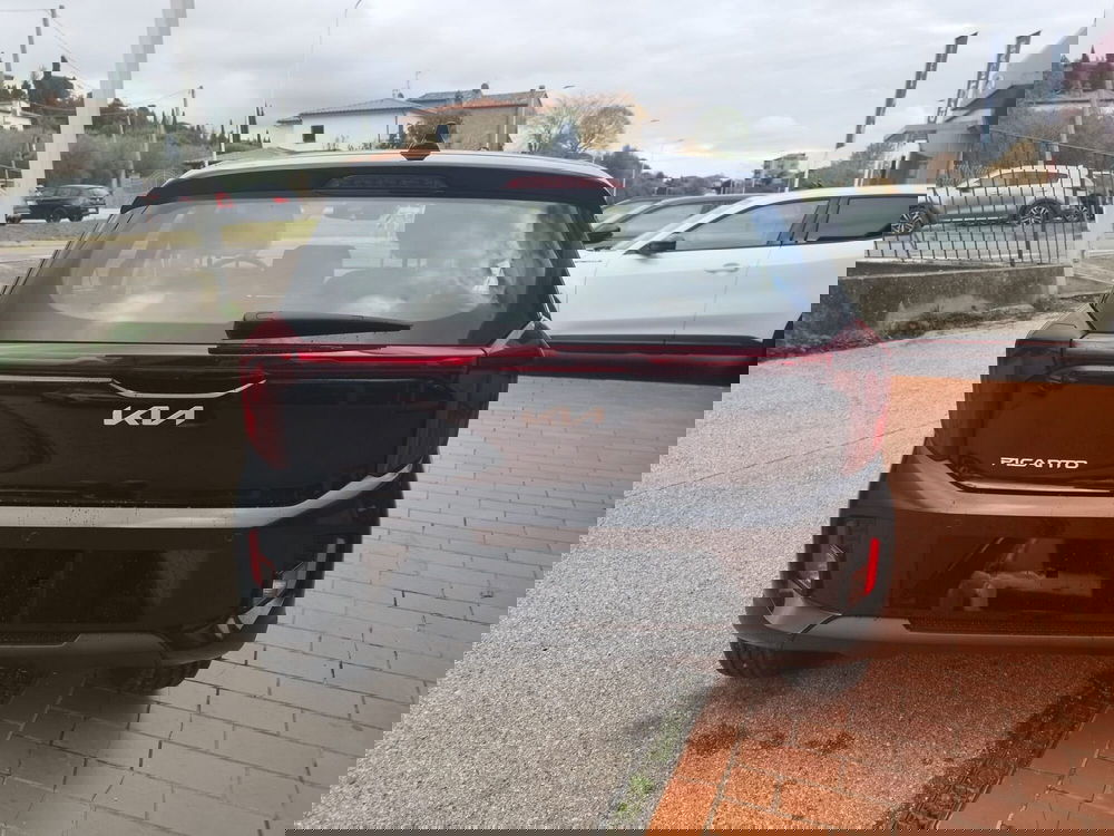 Kia Picanto nuova a Arezzo (7)