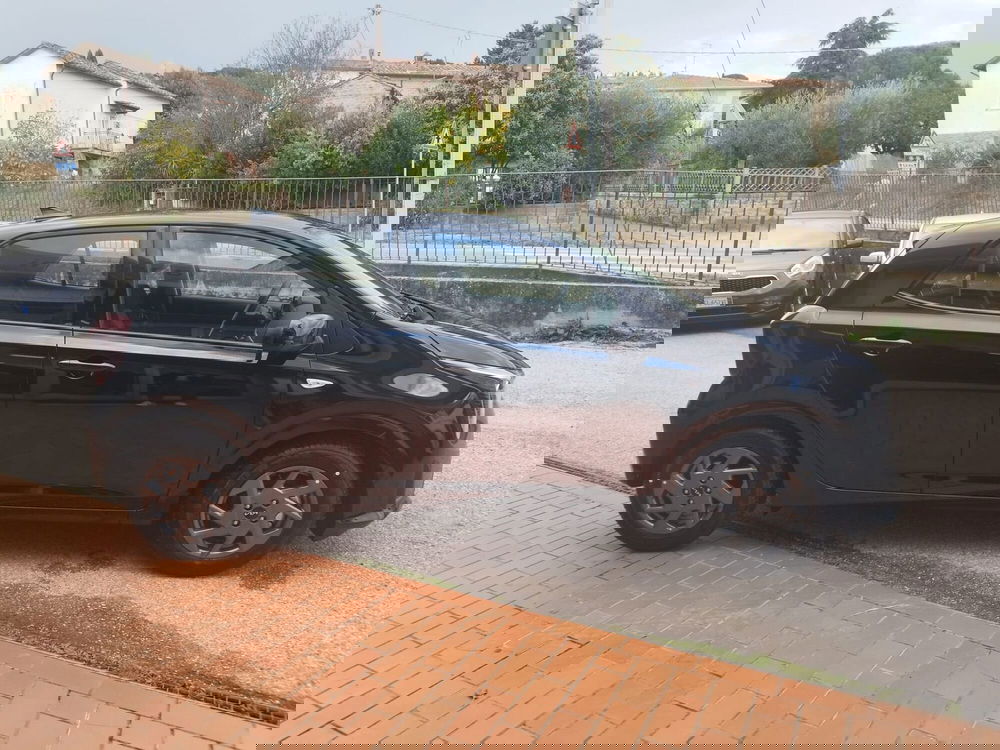 Kia Picanto nuova a Arezzo (9)