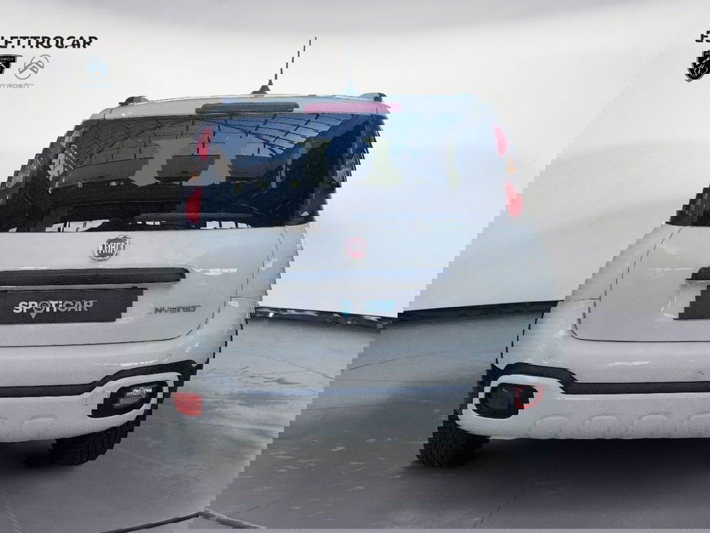 Fiat Panda Cross usata a Vicenza (3)