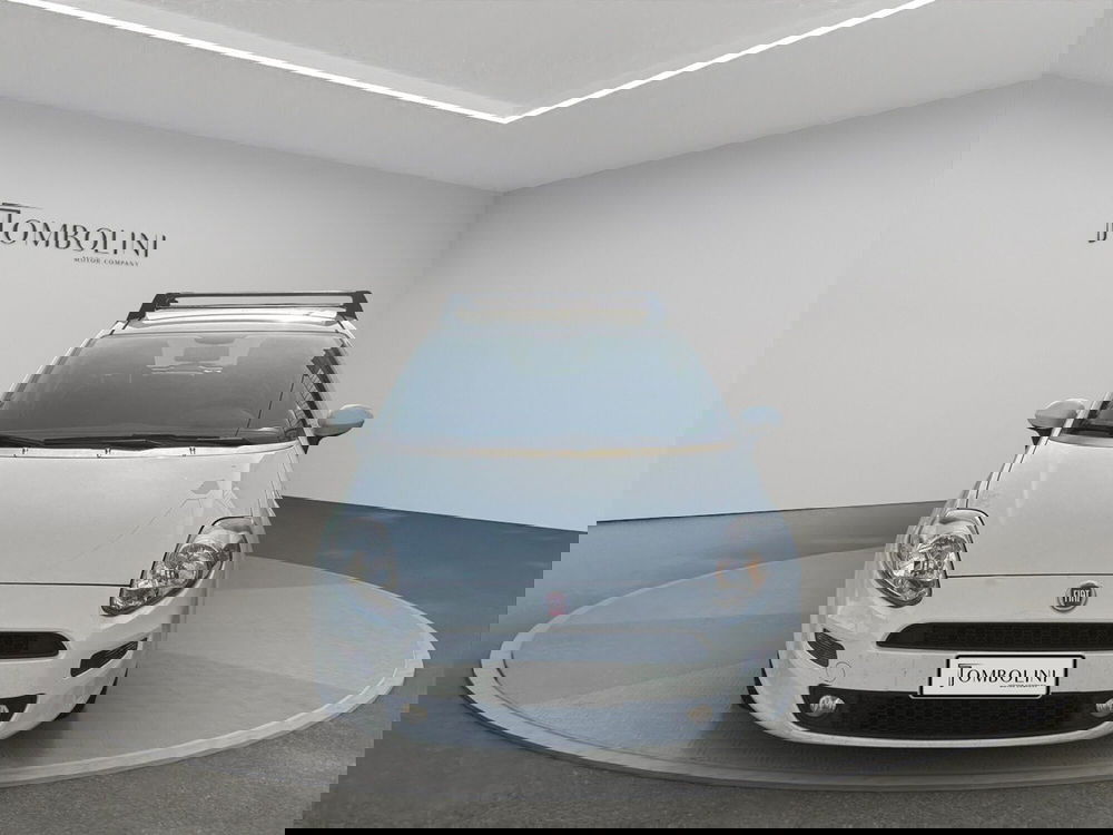 Fiat Punto usata a Perugia (4)