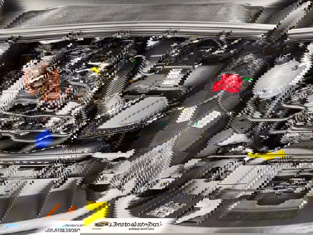 Ford Puma usata a Roma (12)