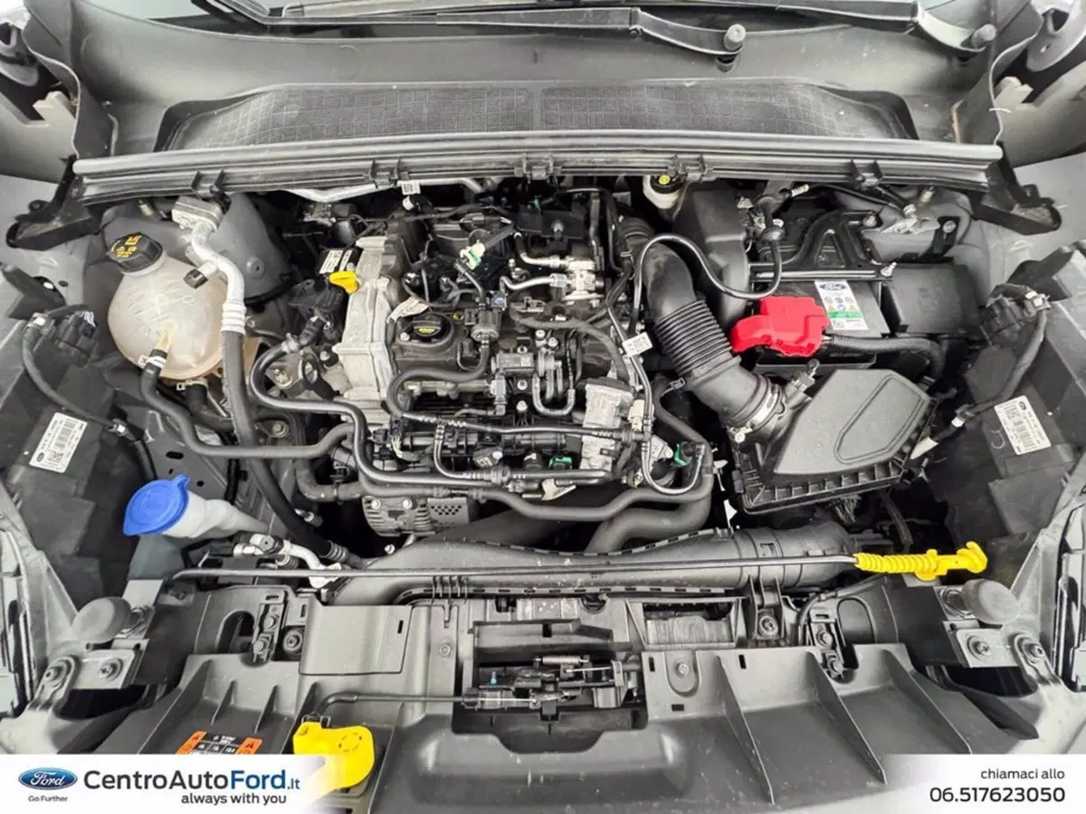Ford Puma usata a Roma (12)