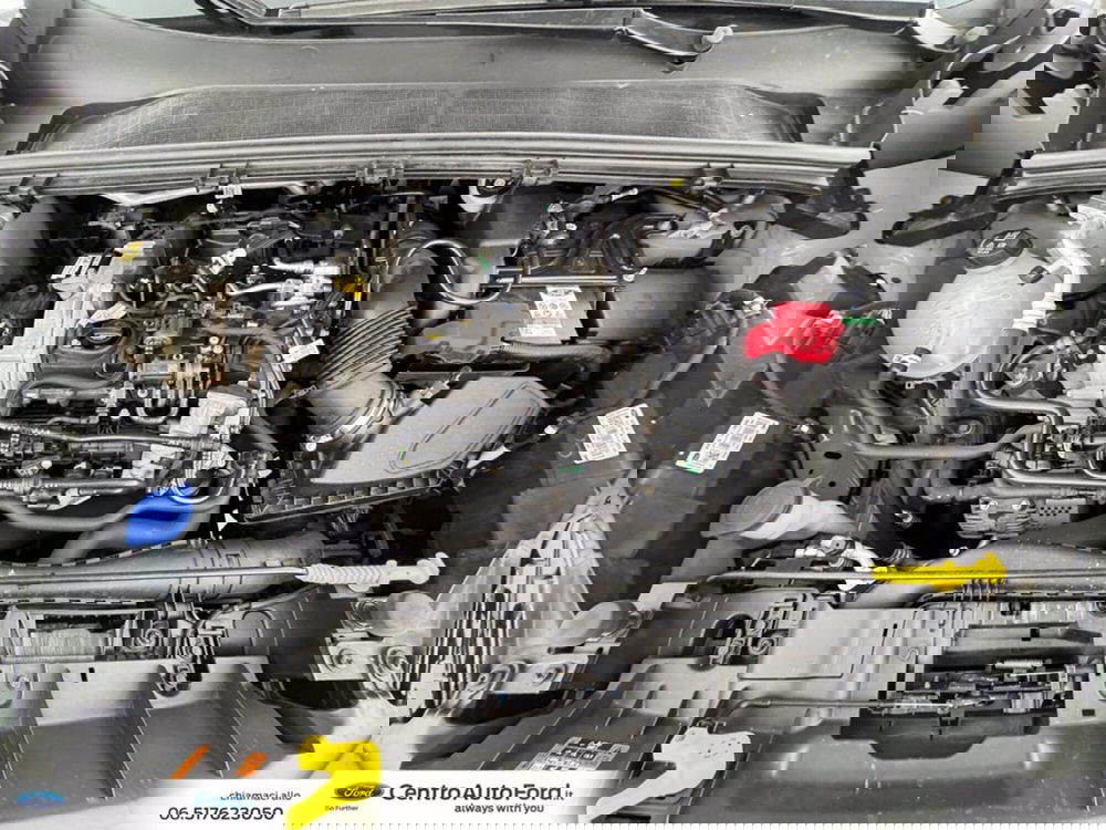 Ford Puma usata a Roma (12)