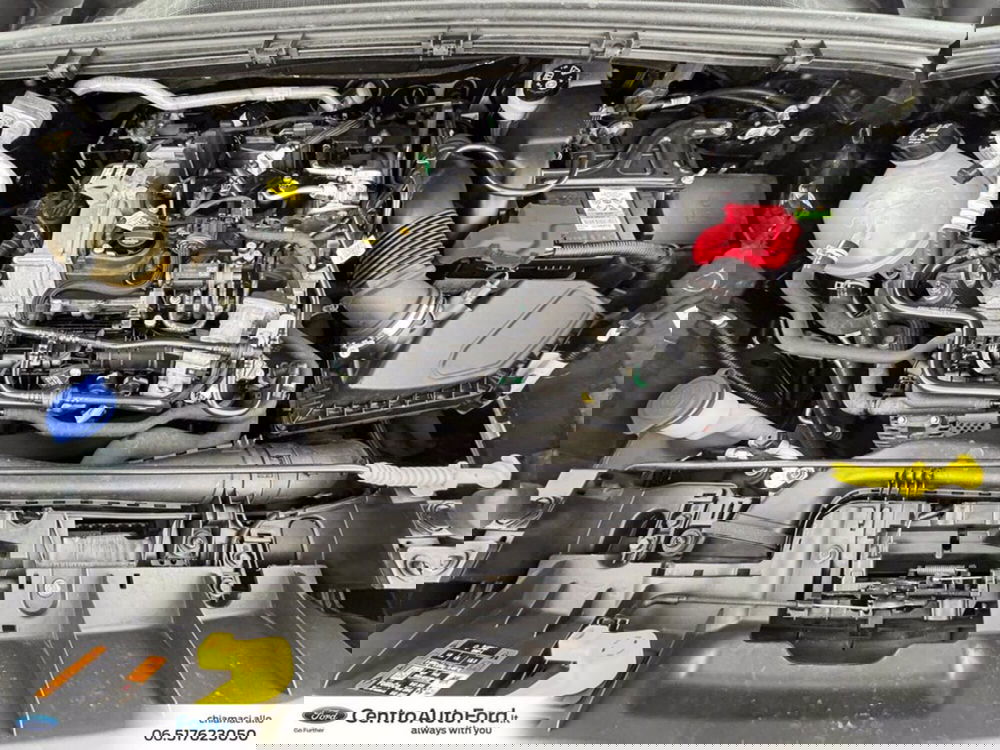 Ford Puma usata a Roma (13)