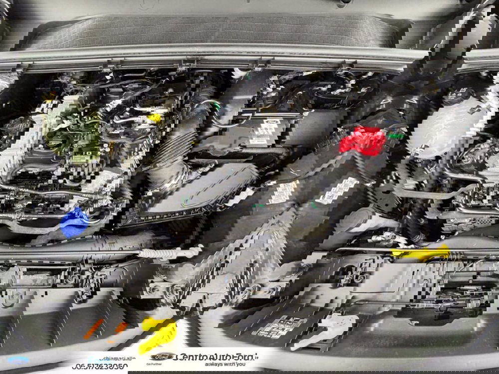 Ford Puma usata a Roma (13)