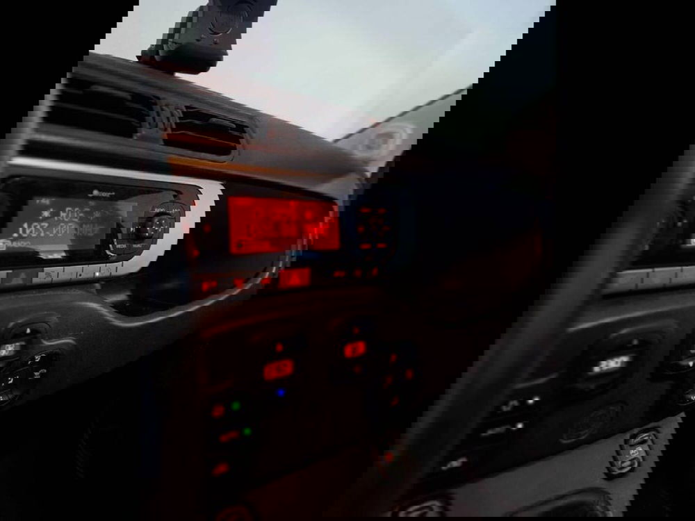 Fiat Panda Cross usata a Torino (10)