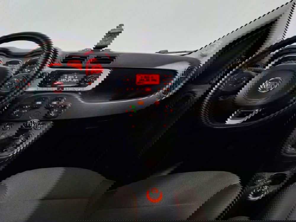 Fiat Panda Cross usata a Torino (11)