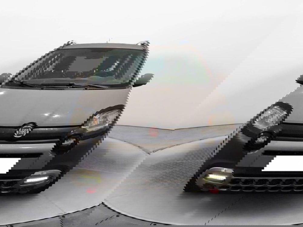 Fiat Panda Cross usata a Torino (2)