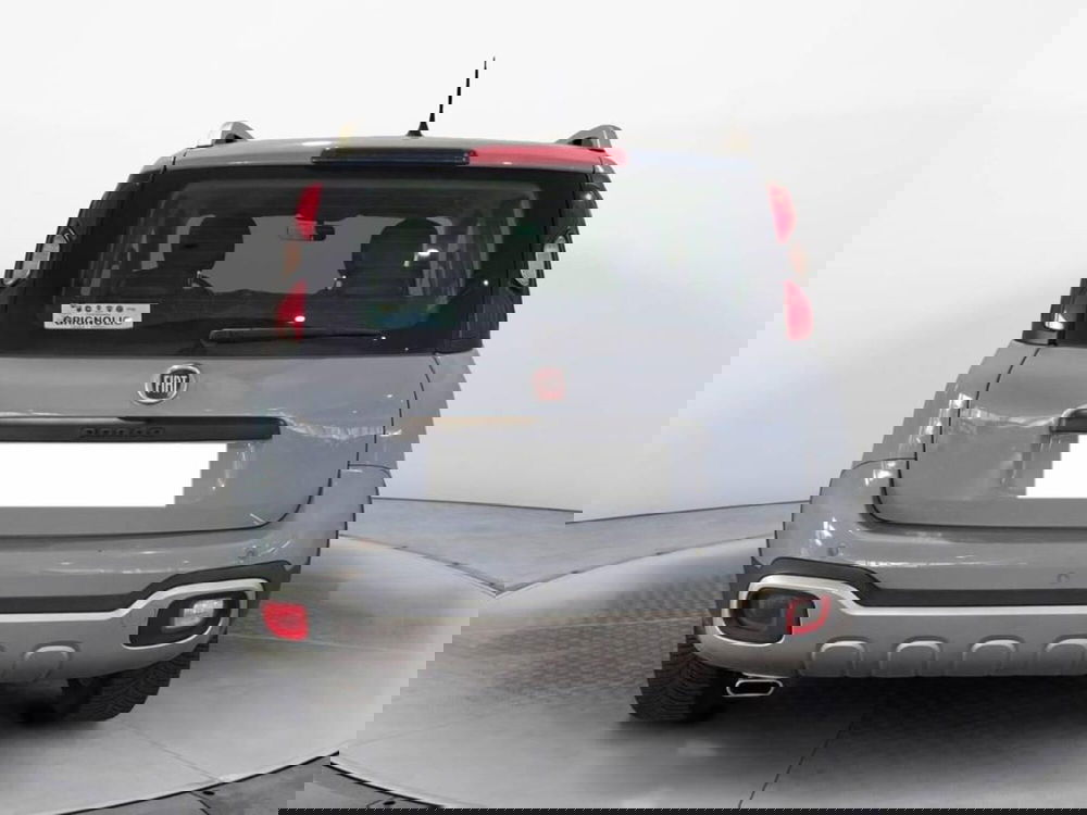 Fiat Panda Cross usata a Torino (5)